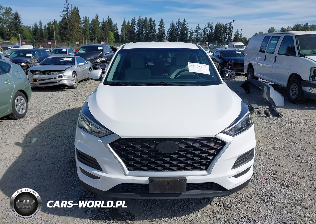 2019 Hyundai Tucson Se VIN:KM8J2CA41KU029659 - 13