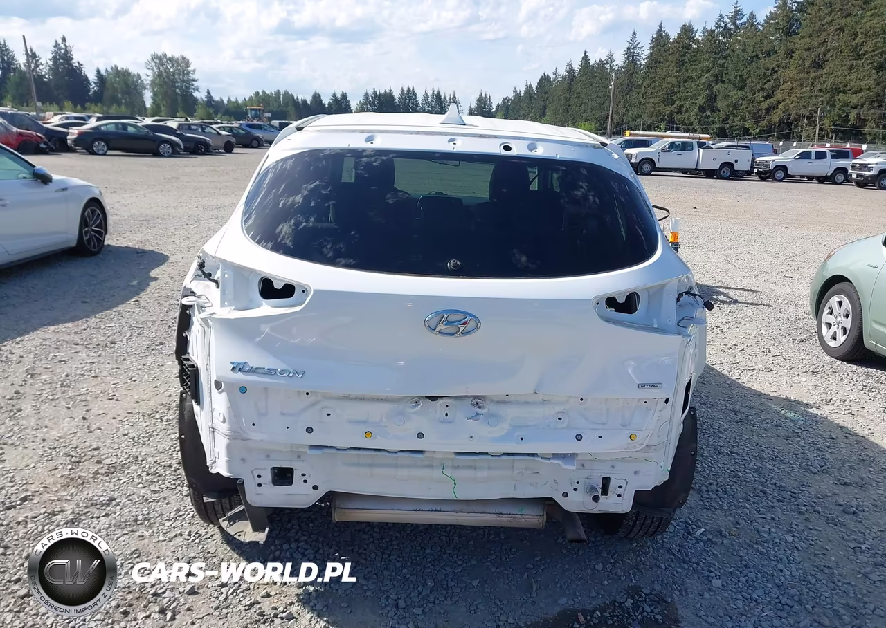 2019 Hyundai Tucson Se VIN:KM8J2CA41KU029659 - 17