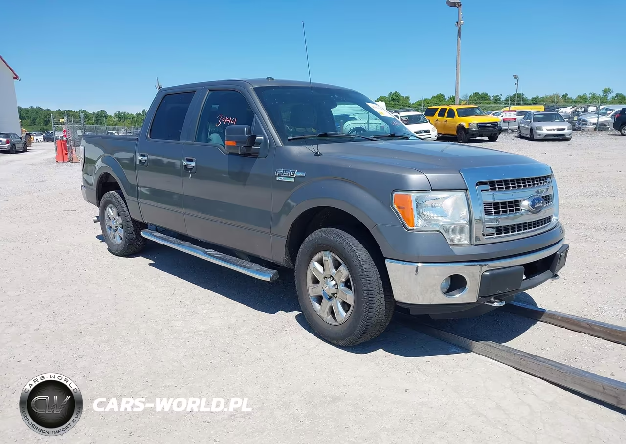 2013 Ford F-150 Xlt – zdjęcie 1 z 16