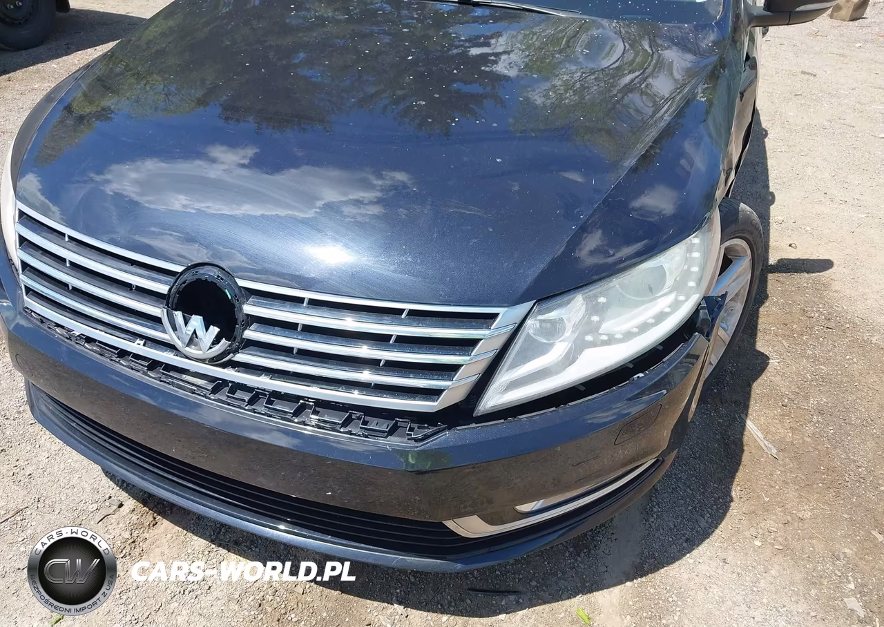 2013 Volkswagen Cc 2.0T Sport VIN:WVWBP7AN0DE526256 - 12