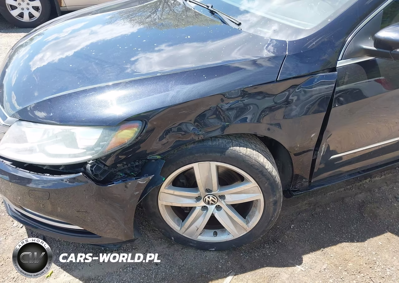 2013 Volkswagen Cc 2.0T Sport VIN:WVWBP7AN0DE526256 - 6