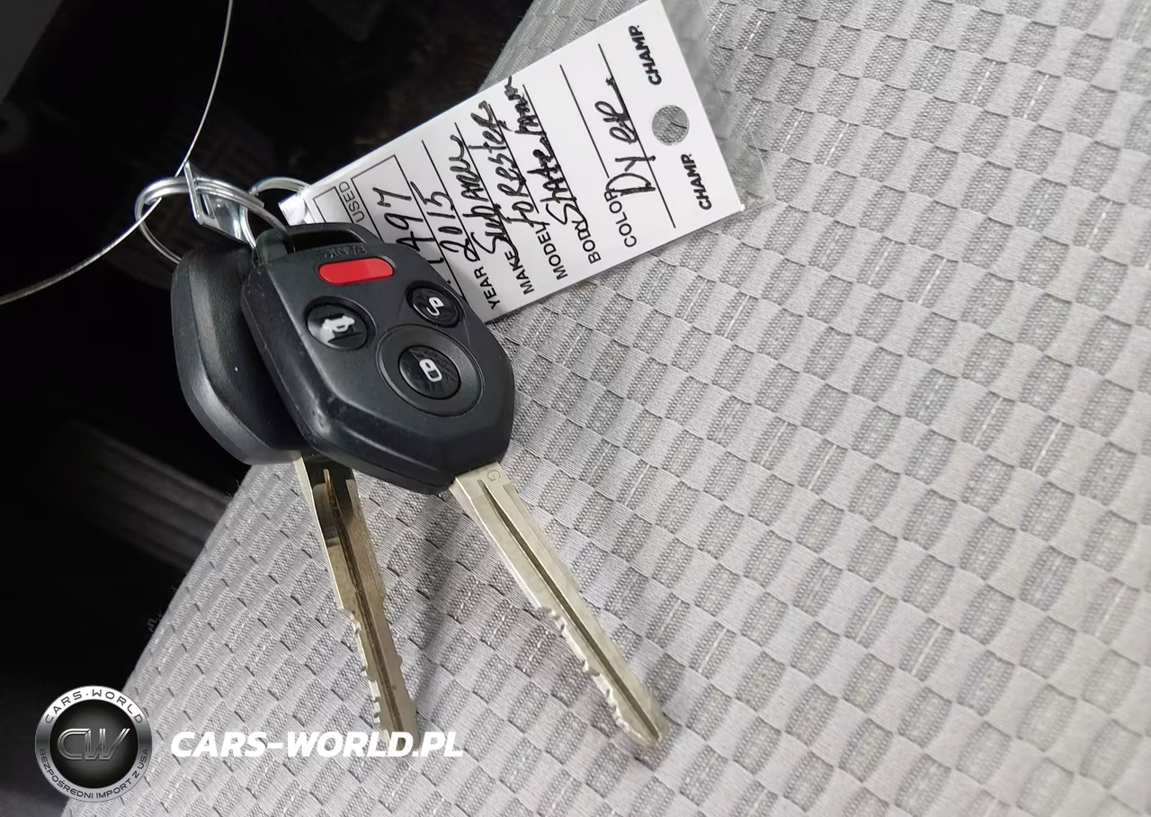 2015 Subaru Forester 2.5I Premium VIN:JF2SJADC5FH491385 - 11