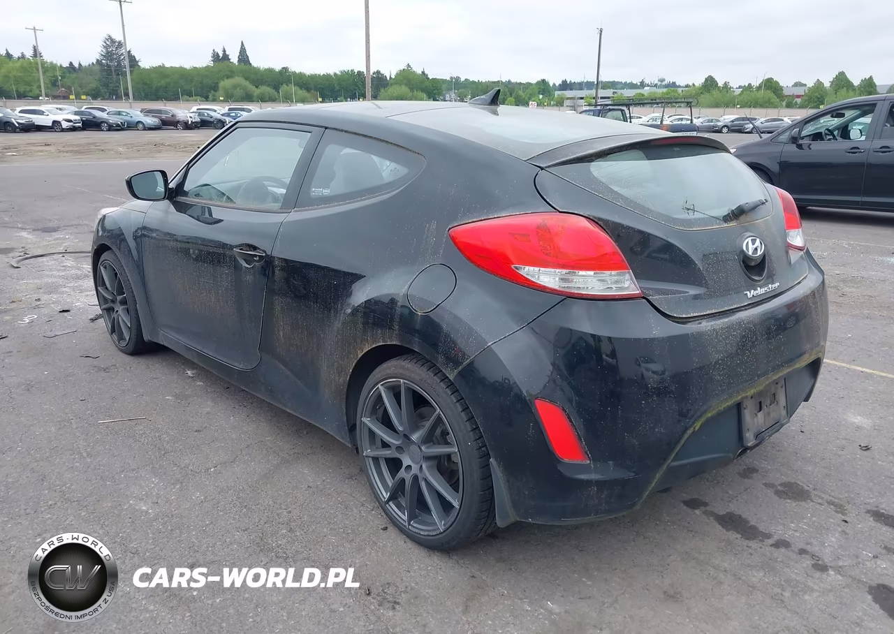 2013 Hyundai Veloster Base W-Gray VIN:KMHTC6AD1DU088429 - 3