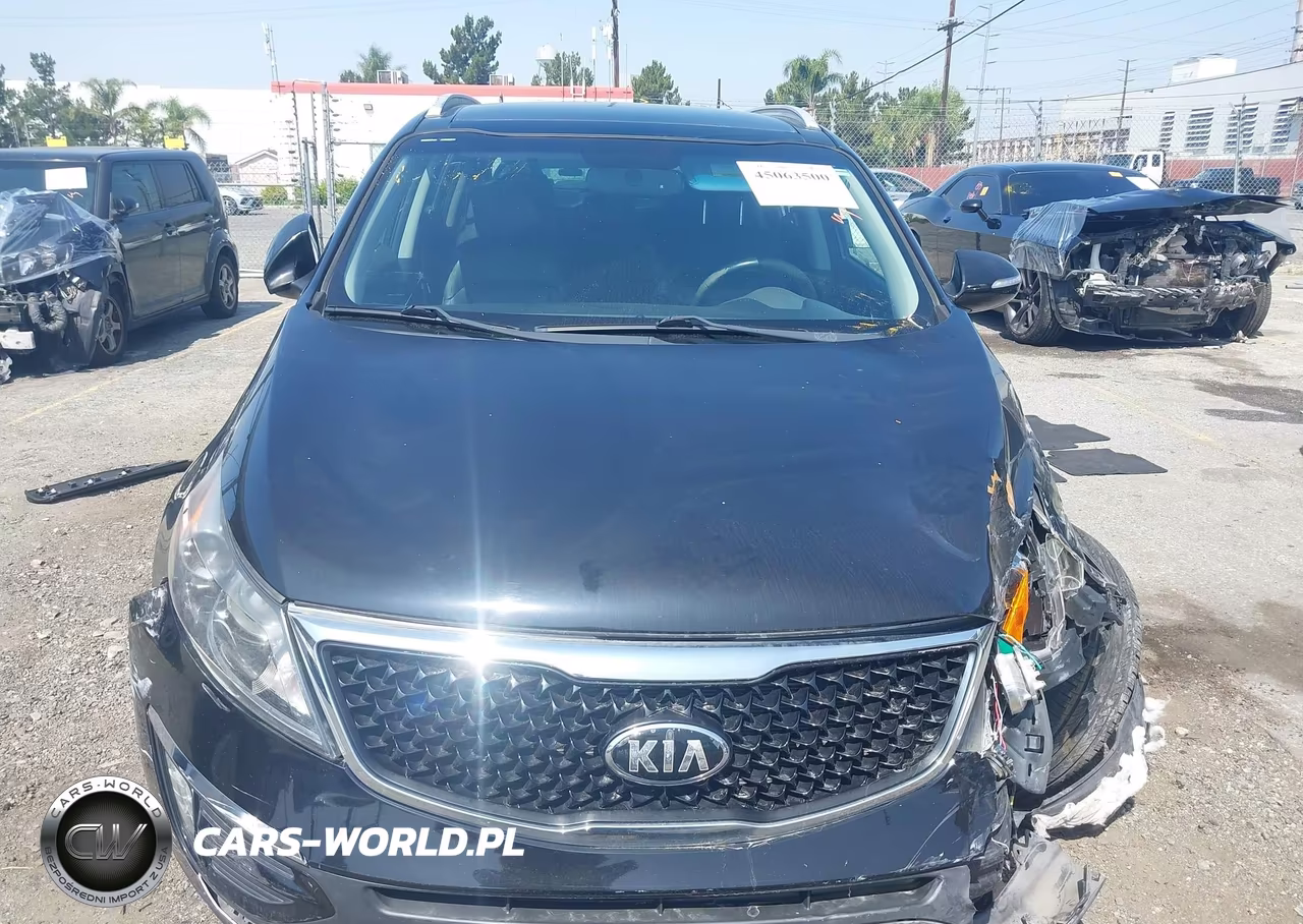 2015 Kia Sportage Ex VIN:KNDPC3AC1F7773396 - 12
