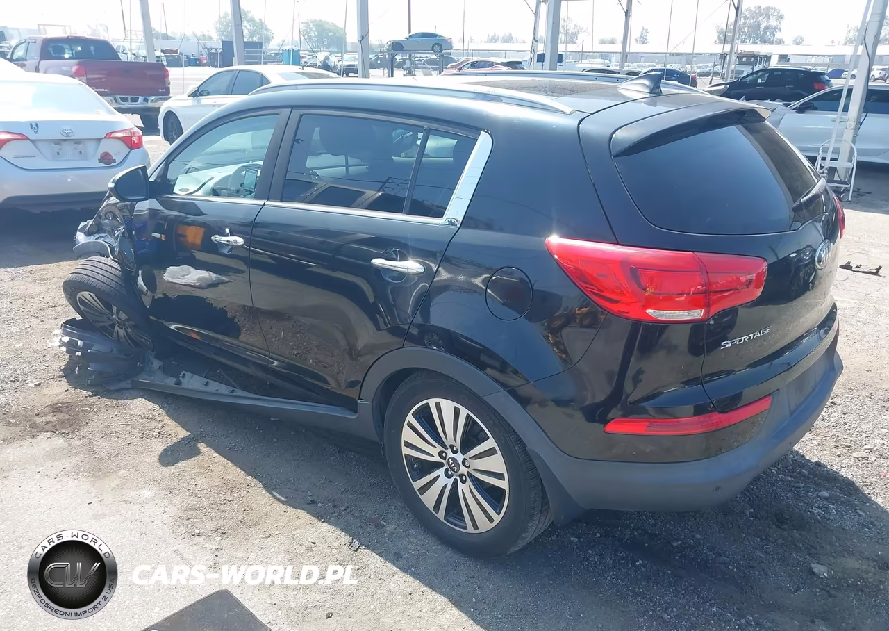 2015 Kia Sportage Ex VIN:KNDPC3AC1F7773396 - 3