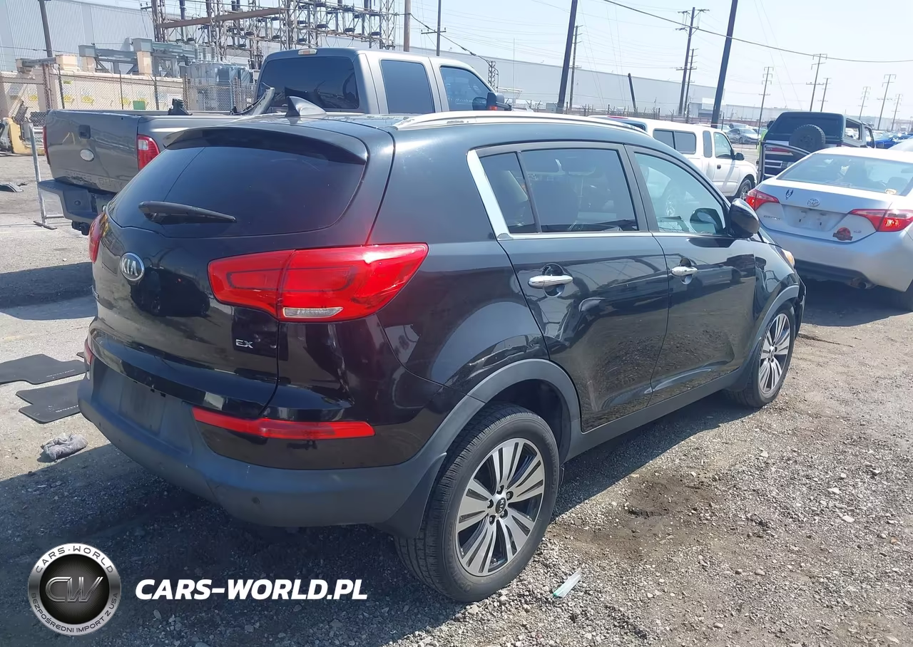 2015 Kia Sportage Ex VIN:KNDPC3AC1F7773396 - 4