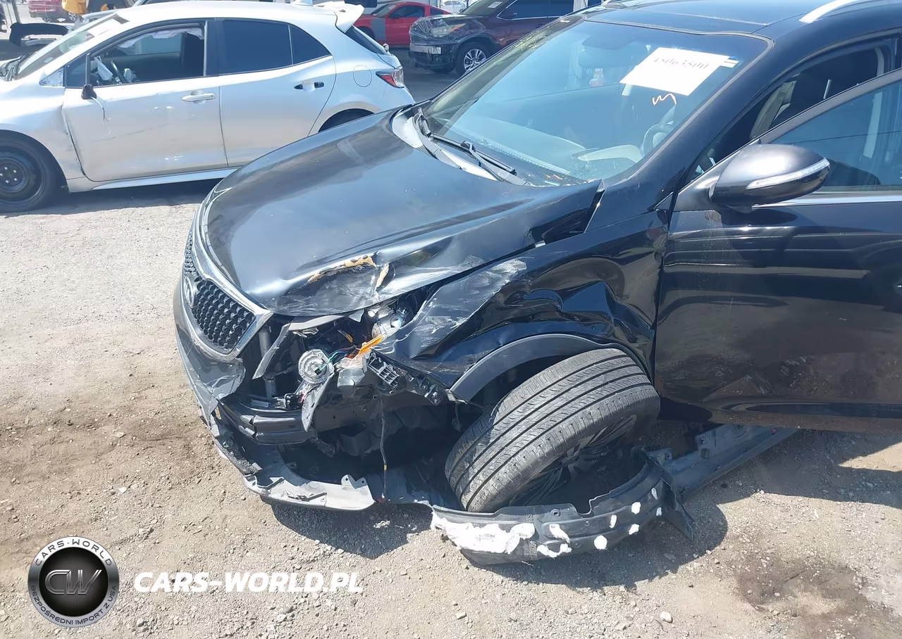 2015 Kia Sportage Ex VIN:KNDPC3AC1F7773396 - 6
