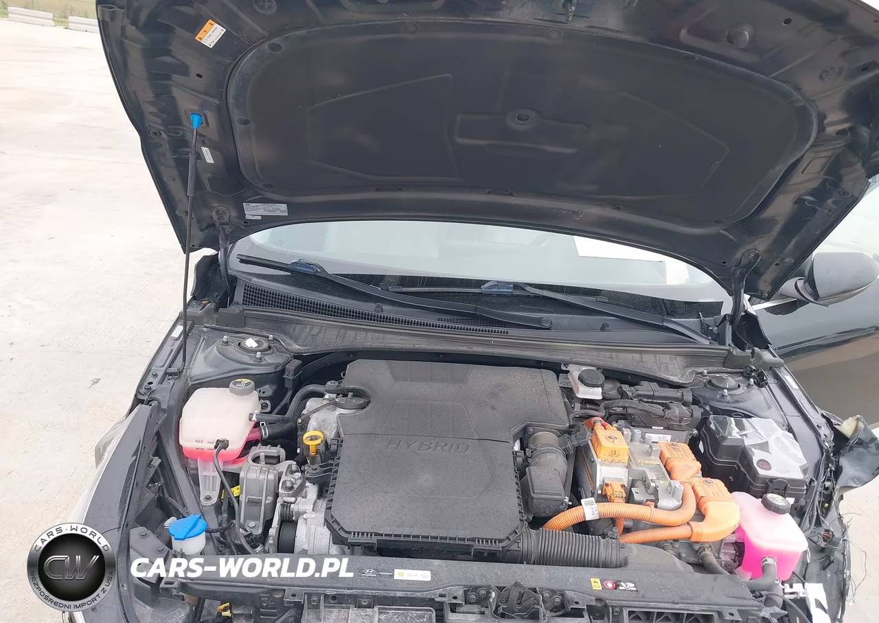 2021 Hyundai Elantra Hybrid Limited VIN:KMHLN4AJ7MU005087 - 10