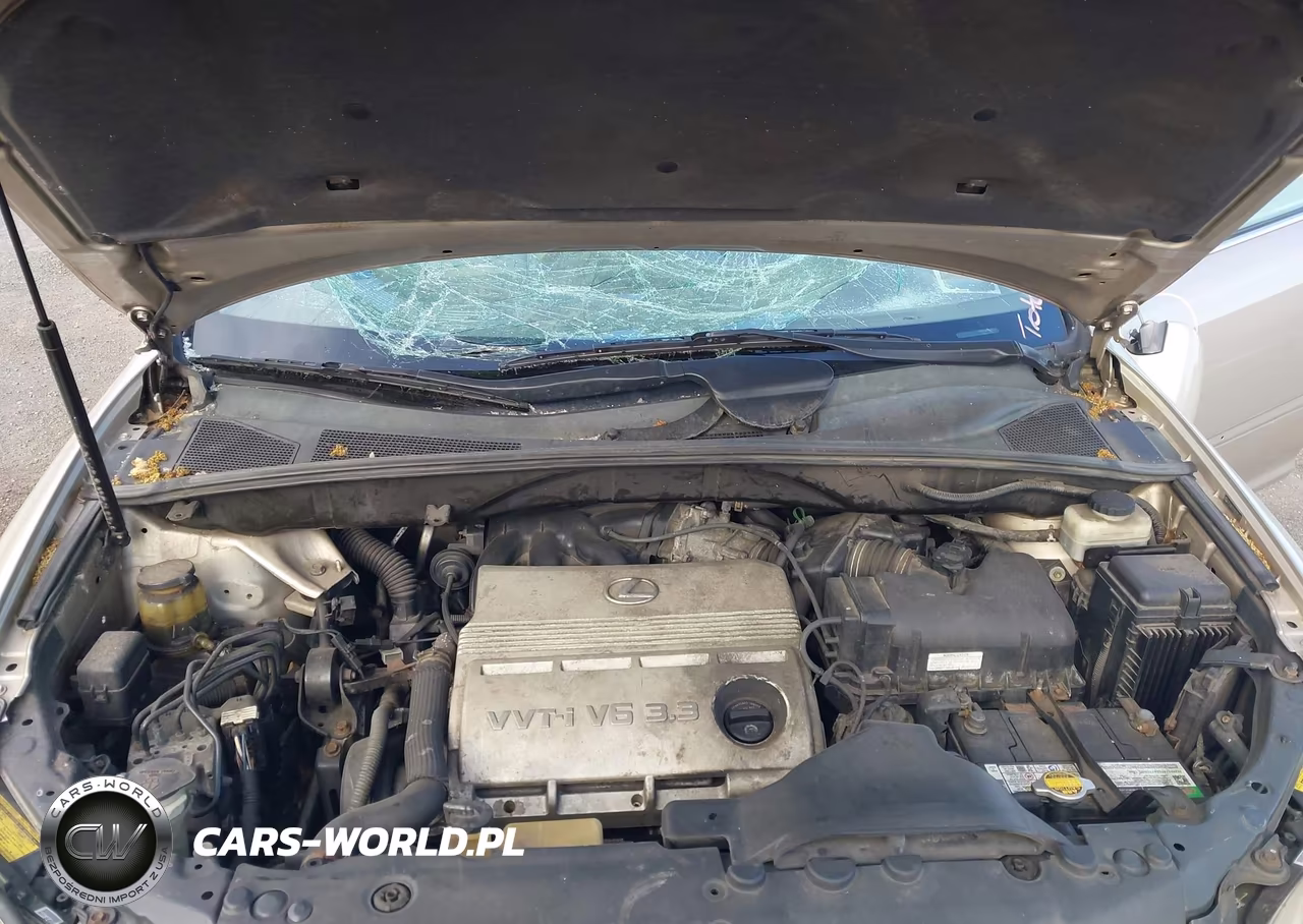 2006 Lexus Rx 330 VIN:2T2HA31U16C095407 - 10