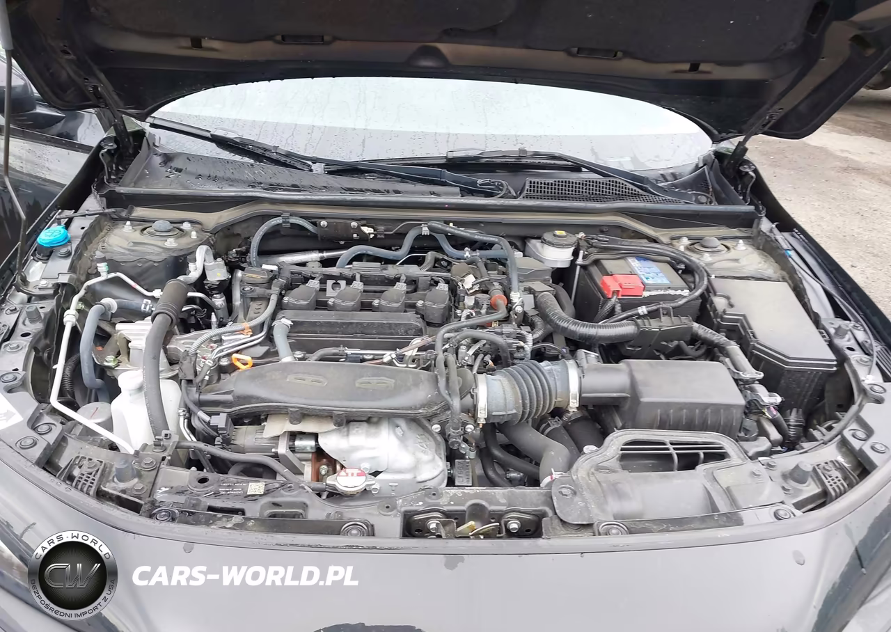 2024 Honda Civic Ex-L VIN:19XFL1H72RE001616 - 10