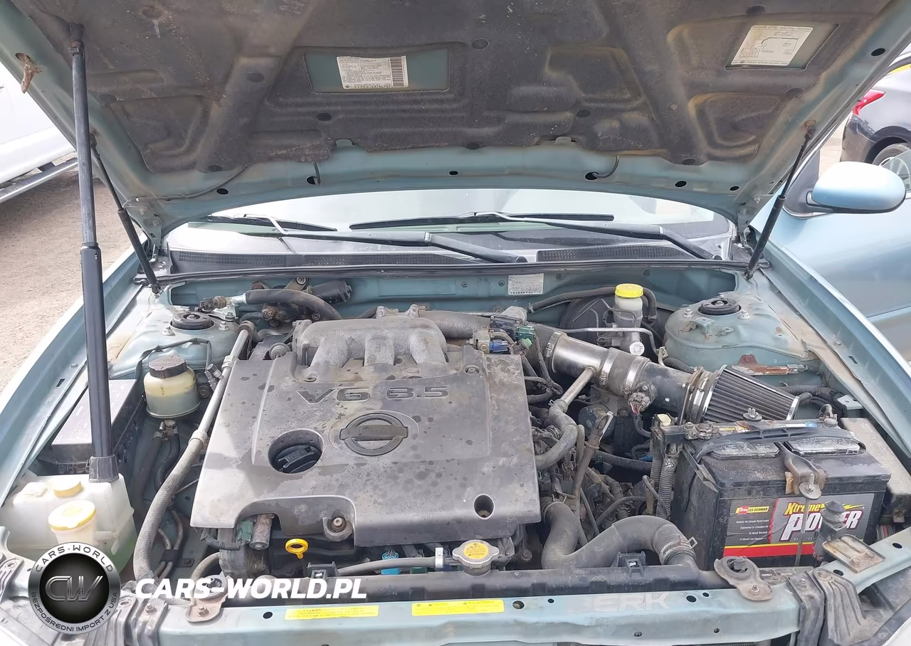 2002 Nissan Maxima Se VIN:JN1DA31A02T307146 - 10