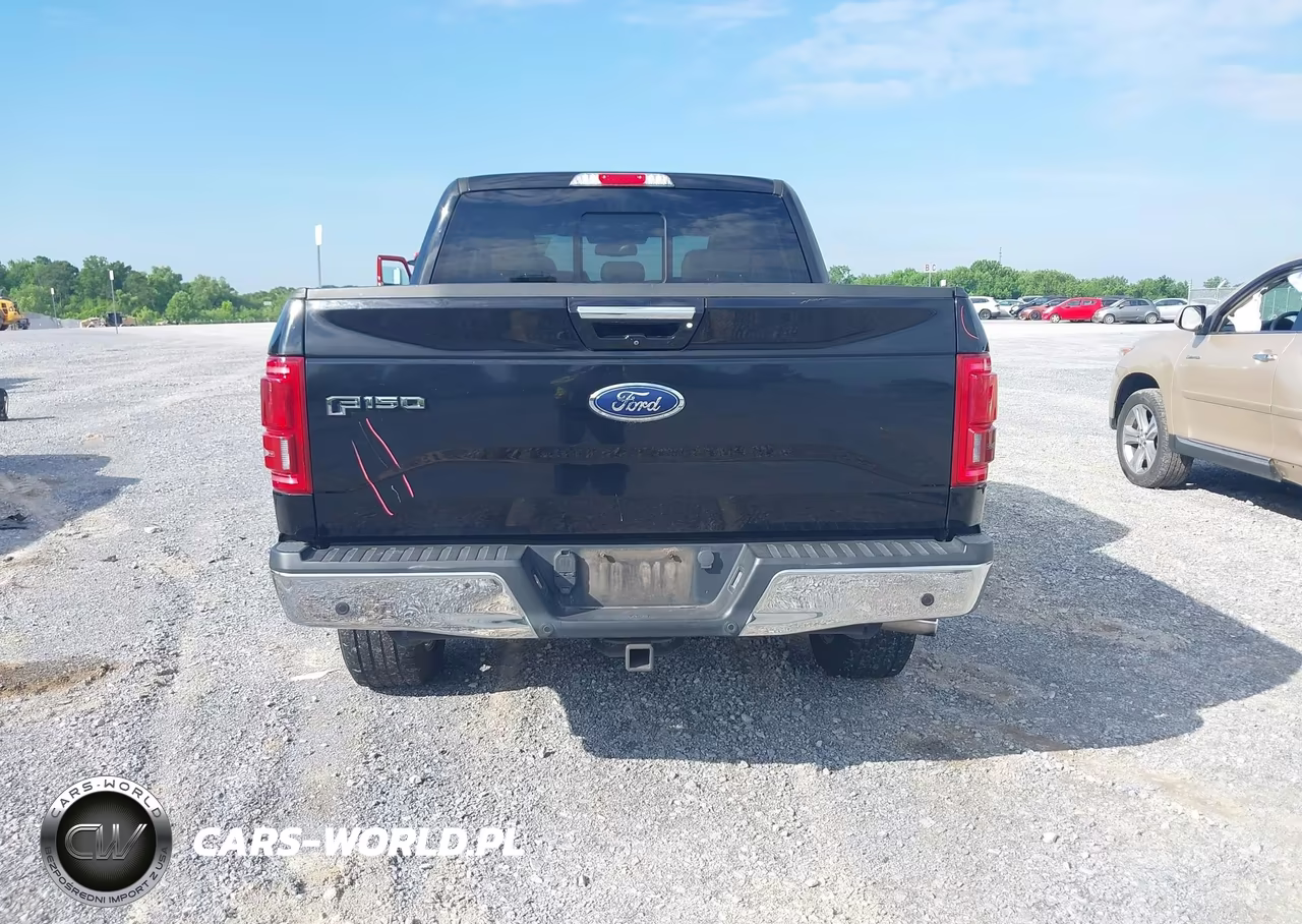 2017 Ford F-150 Lariat VIN:1FTEW1EG6HFB38974 - 16