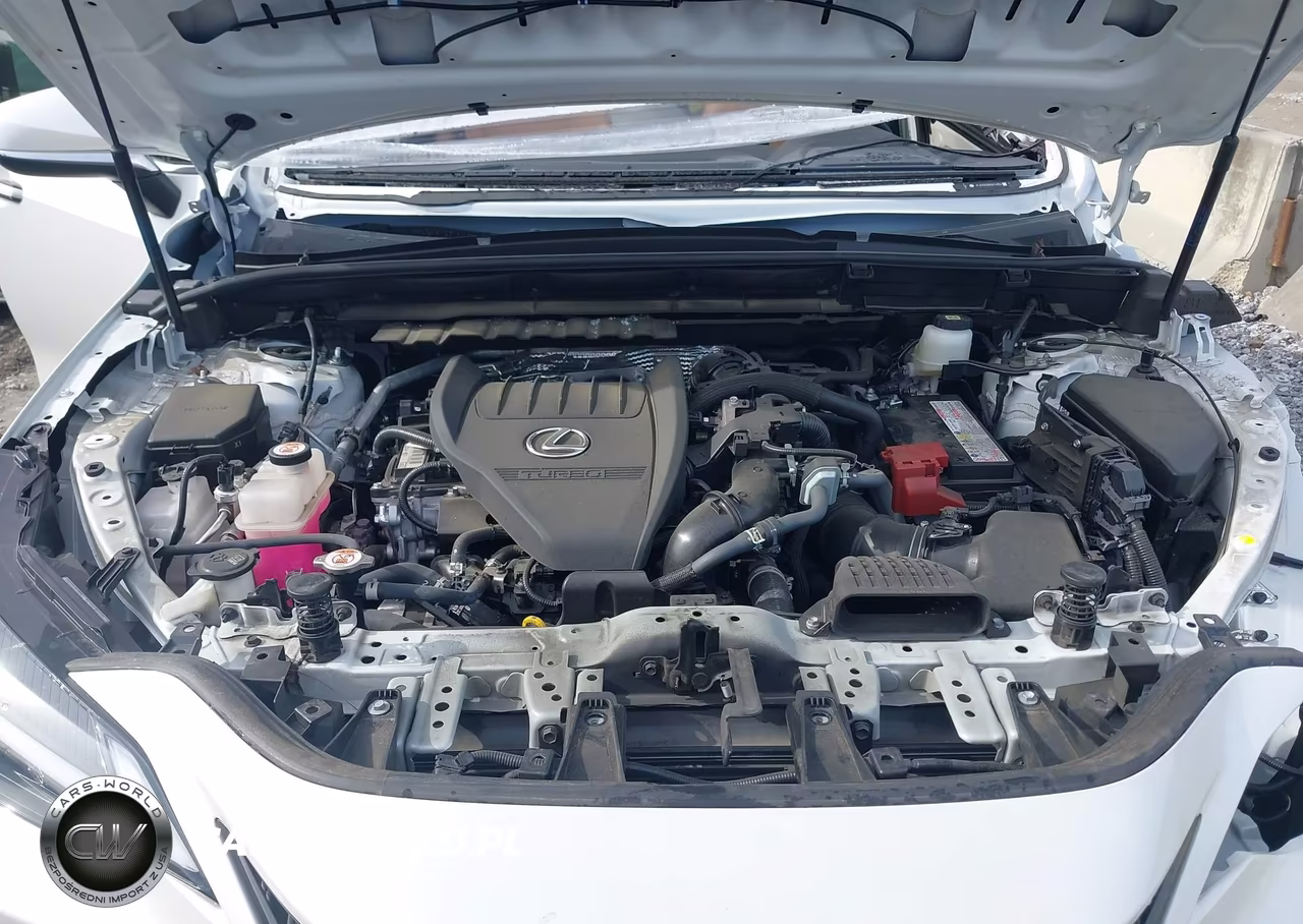 2024 Lexus Nx 350 Premium VIN:JTJGGCEZ0R2014353 - 10