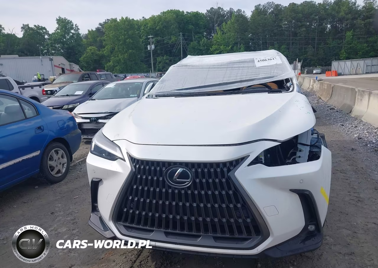 2024 Lexus Nx 350 Premium VIN:JTJGGCEZ0R2014353 - 12
