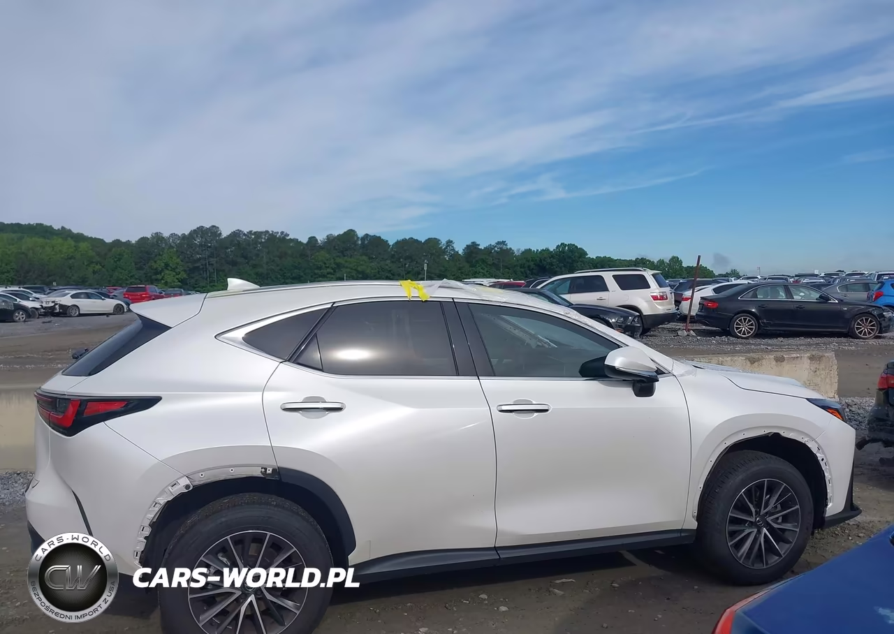 2024 Lexus Nx 350 Premium VIN:JTJGGCEZ0R2014353 - 13