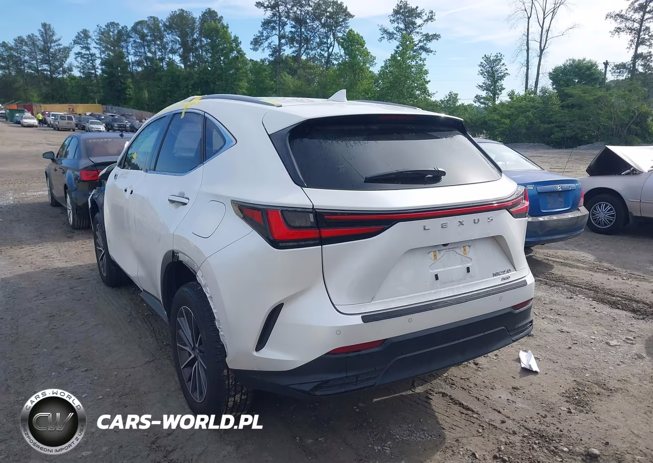 2024 Lexus Nx 350 Premium VIN:JTJGGCEZ0R2014353 - 3
