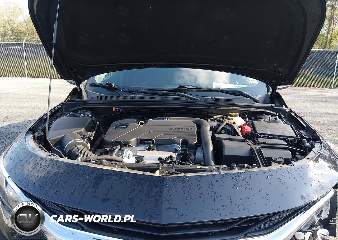 2020 Chevrolet Malibu Fwd Lt VIN:1G1ZD5STXLF070485 - 10