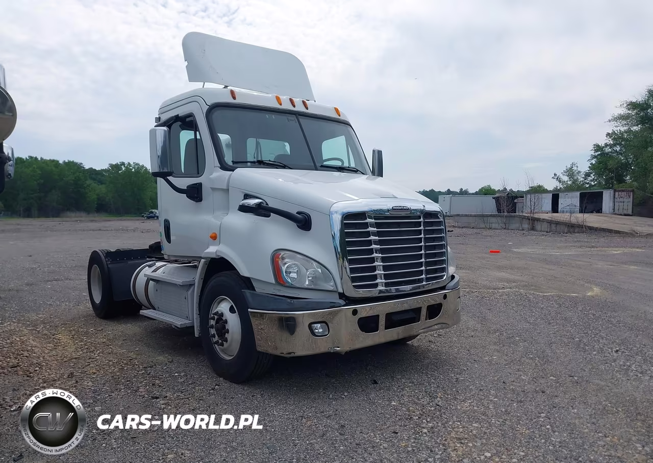 2013 Freightliner Cascadia 113