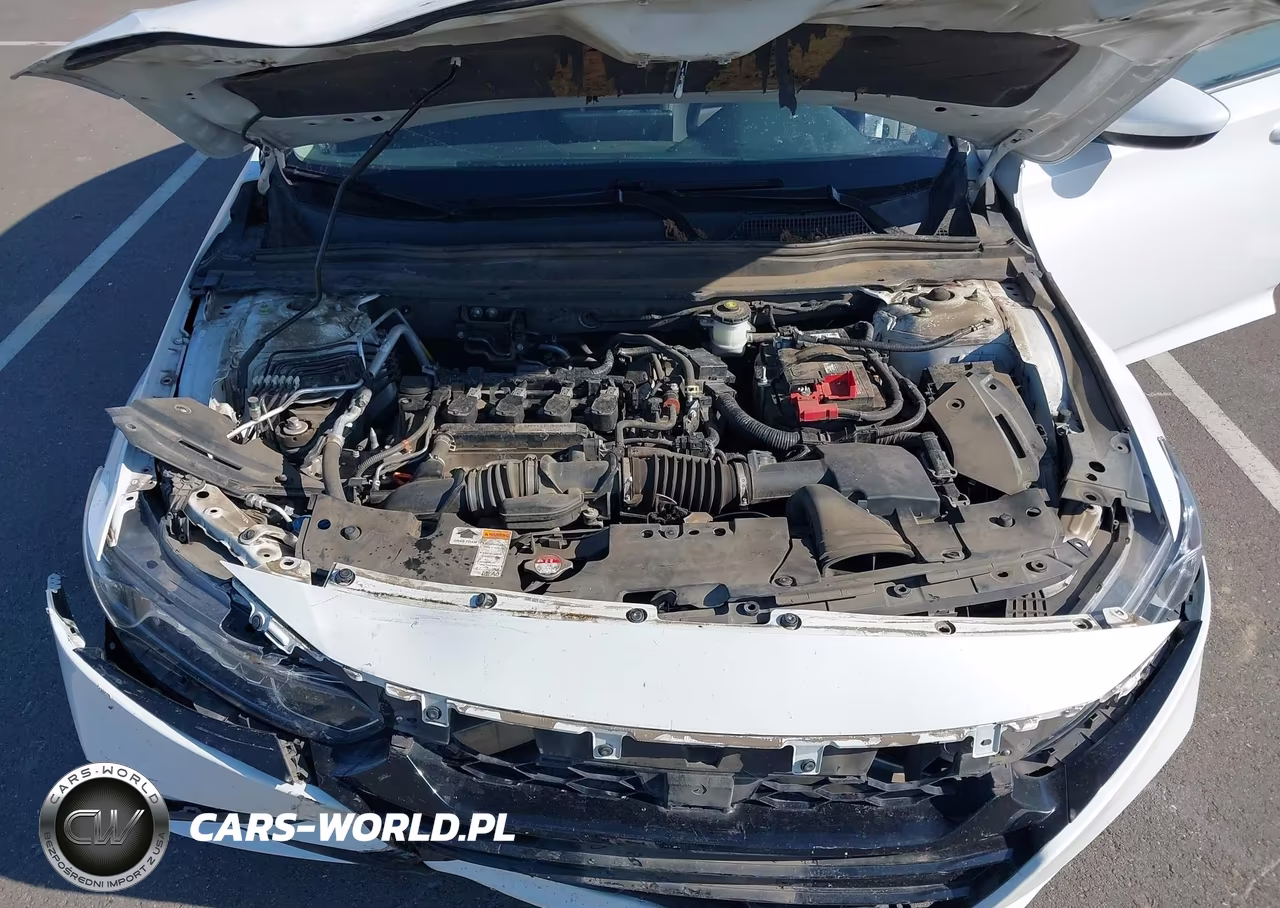 2019 Honda Accord Lx VIN:1HGCV1F16KA079399 - 10