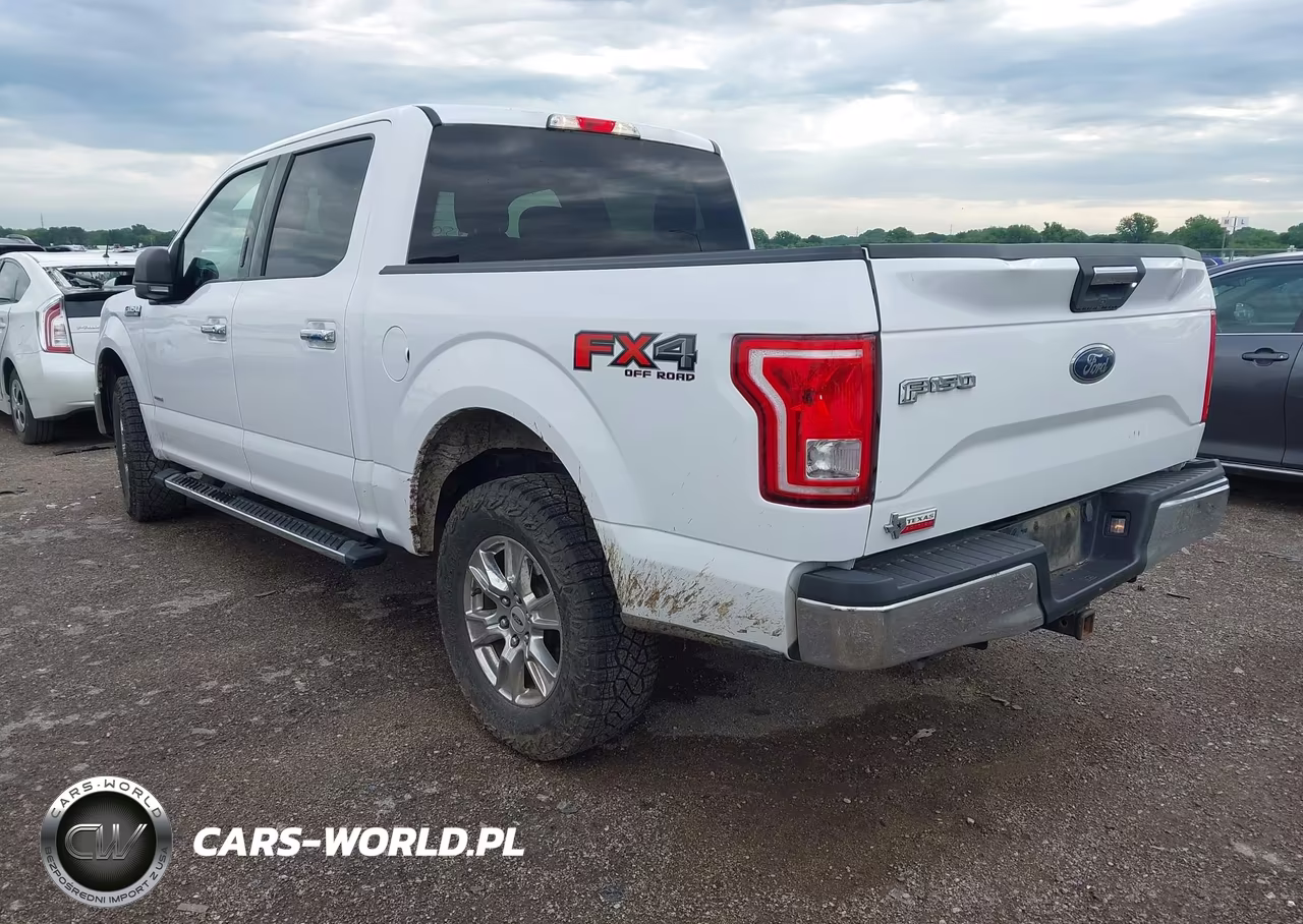 2017 Ford F-150 Xlt VIN:1FTEW1EP4HKE49780 - 3