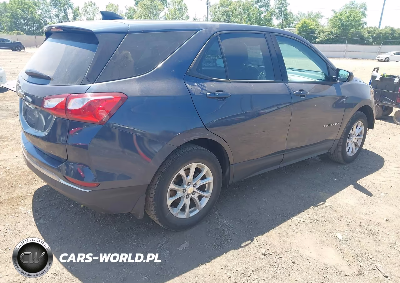 2018 Chevrolet Equinox Ls VIN:3GNAXHEV6JL360811 - 4