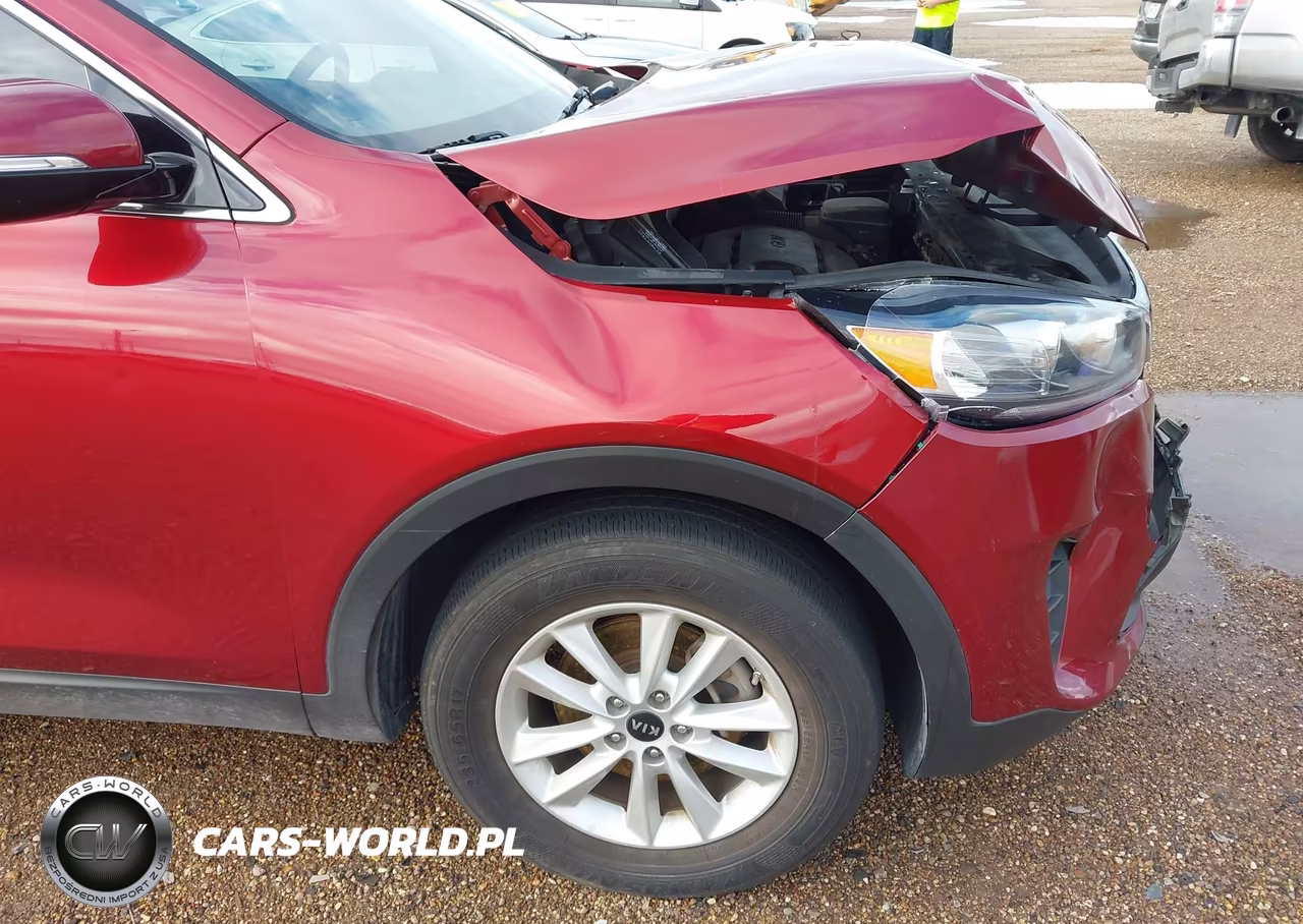 2020 Kia Sorento 2.4L Lx VIN:5XYPG4A37LG671304 - 17