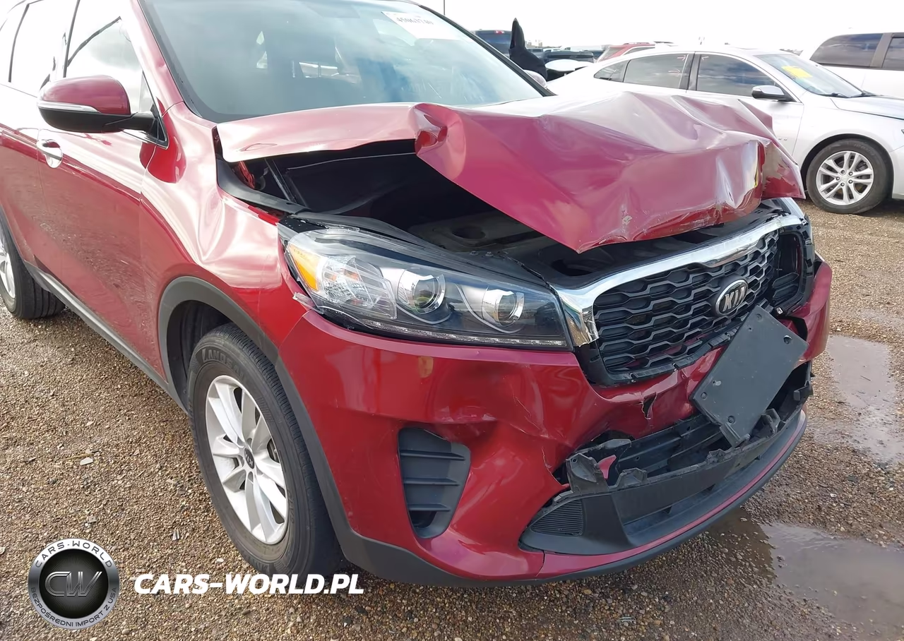 2020 Kia Sorento 2.4L Lx VIN:5XYPG4A37LG671304 - 18