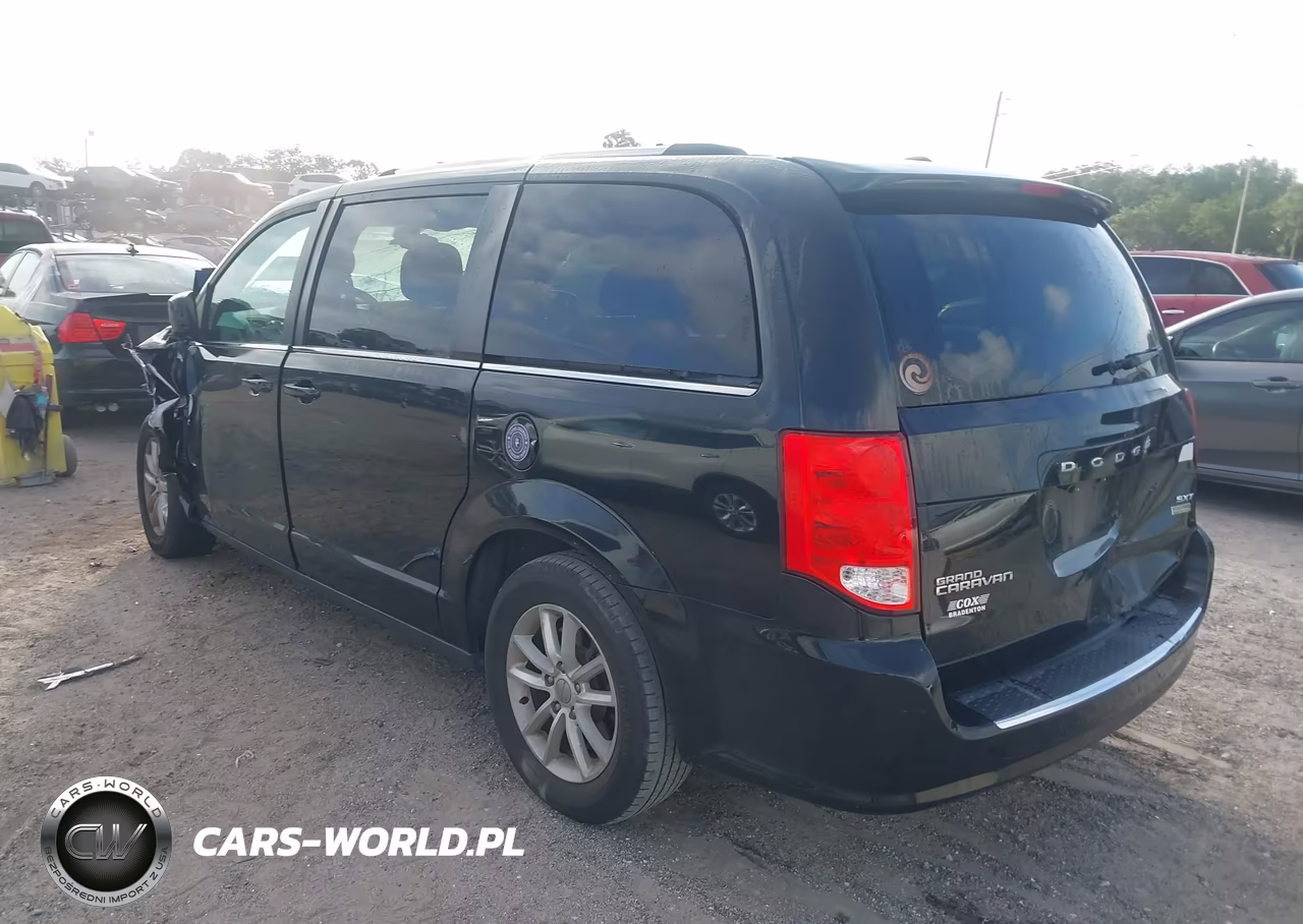 2019 Dodge Grand Caravan Sxt VIN:2C4RDGCG0KR713096 - 3