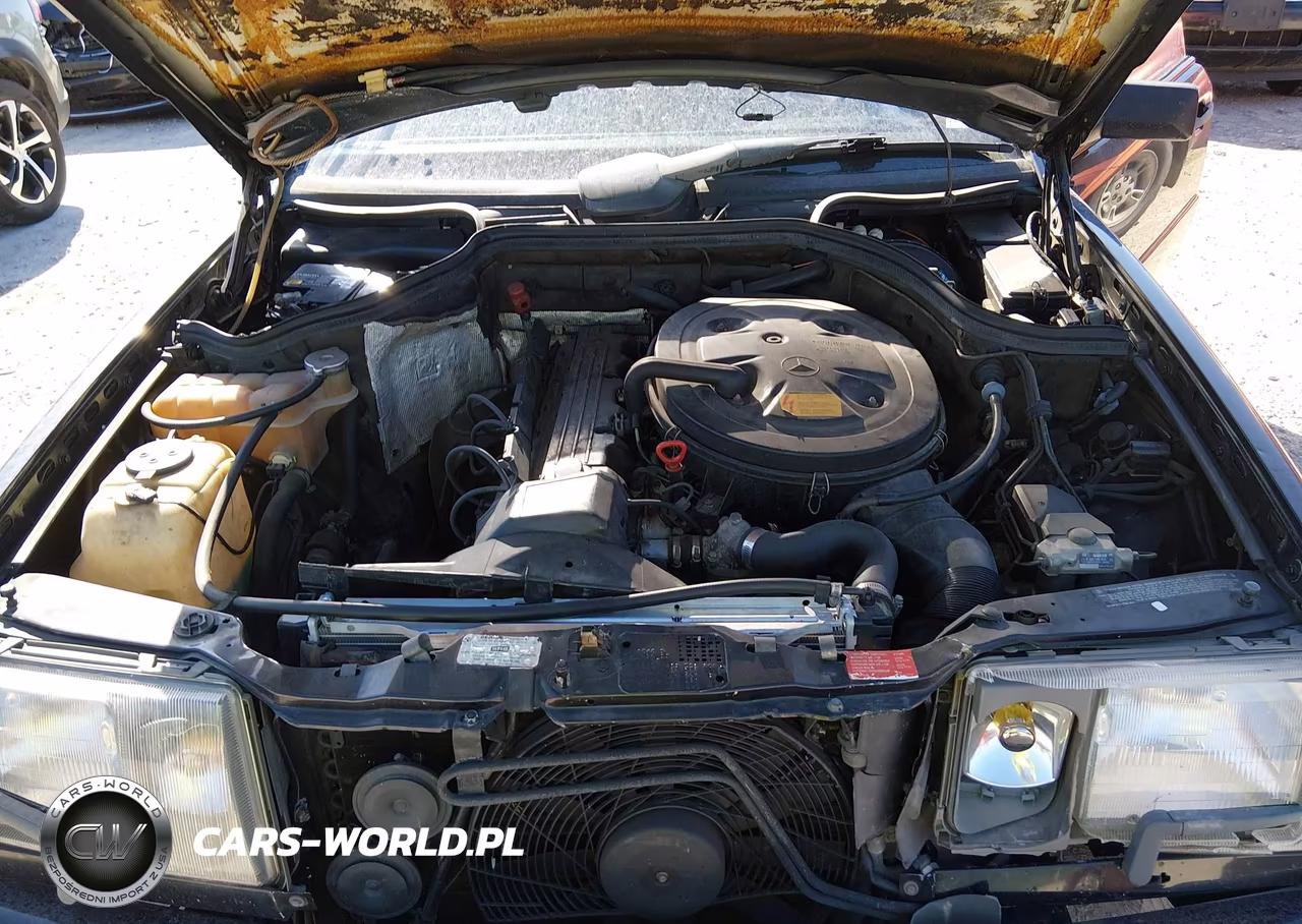 1988 Mercedes-Benz 300 Ce VIN:WDBEA50D8JA743616 - 10