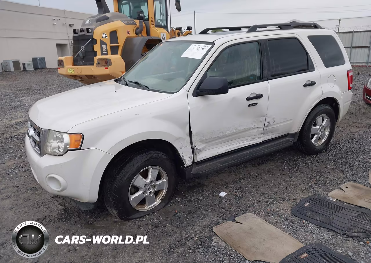 2010 Ford Escape Xlt VIN:1FMCU0DG2AKA69251 - 2