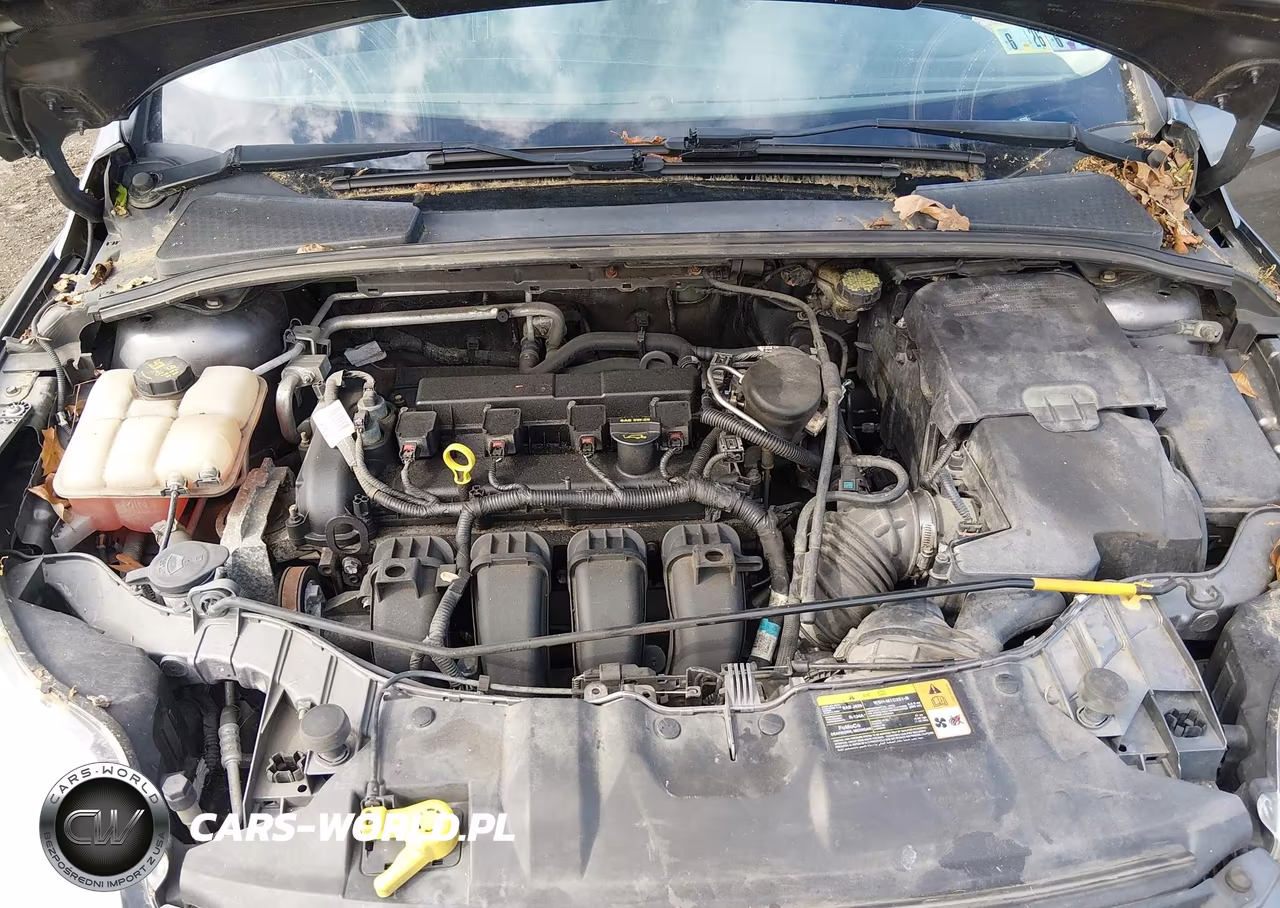2014 Ford Focus Se VIN:1FADP3F29EL240263 - 10