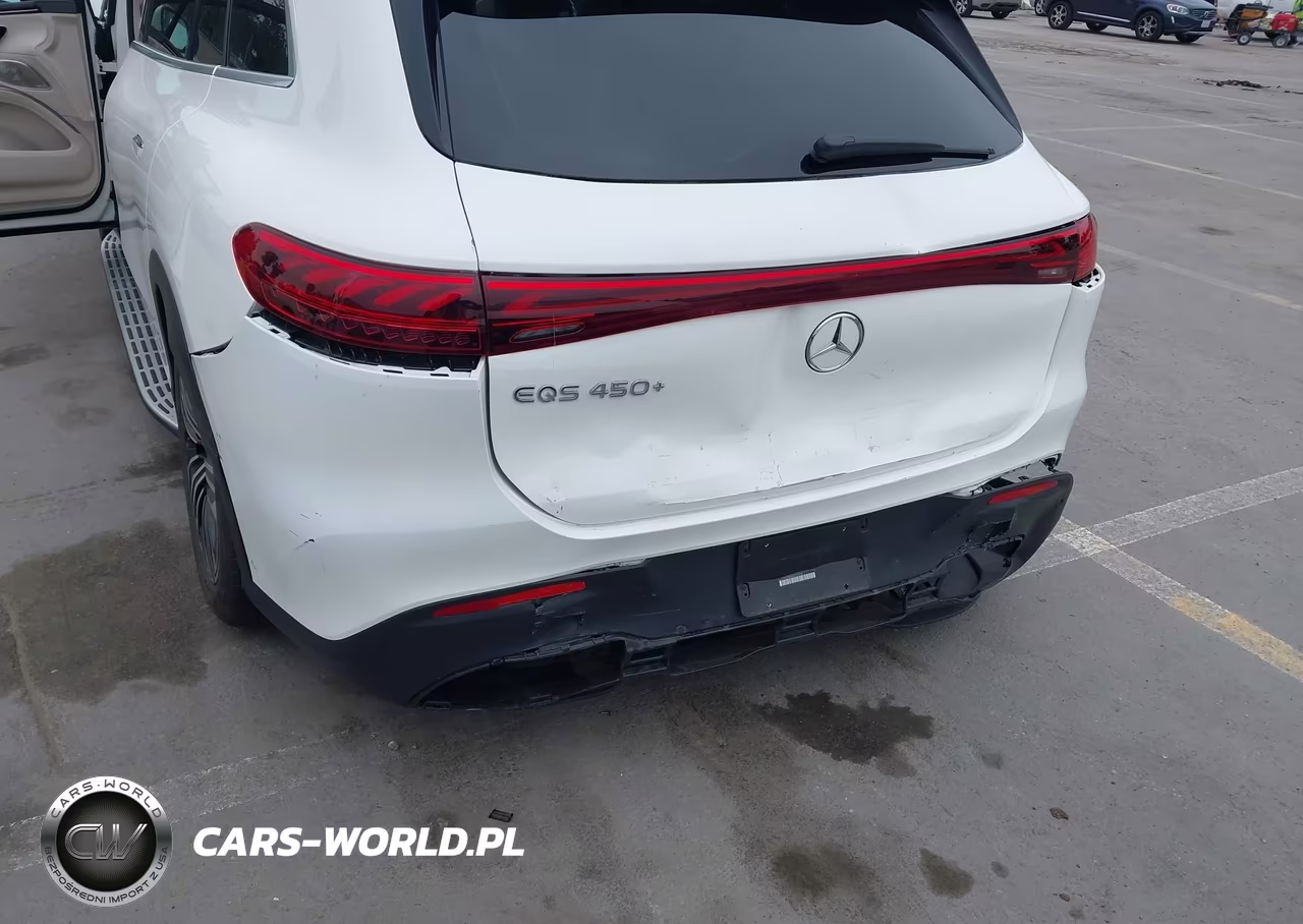 2024 Mercedes-Benz Eqs 450 Suv VIN:4JGDM2DBXRA033958 - 6