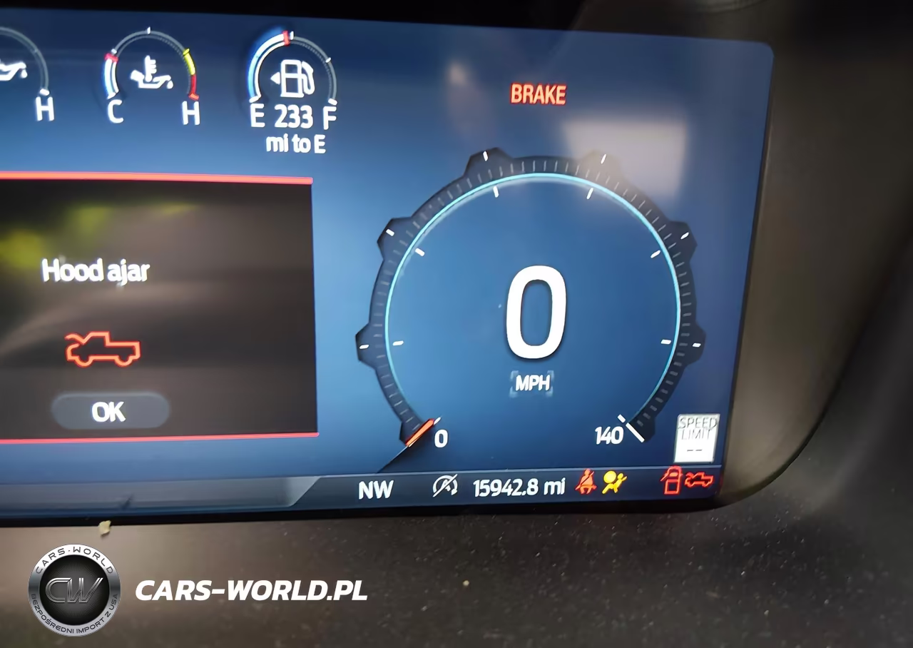 2024 Ford F-150 Raptor VIN:1FTFW1RGXRFB11826 - 16