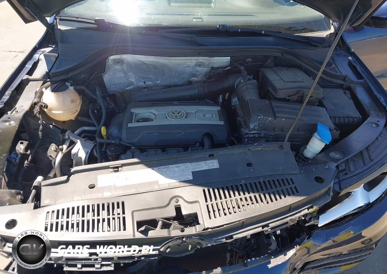 2015 Volkswagen Tiguan S VIN:WVGAV7AX3FW607344 - 10
