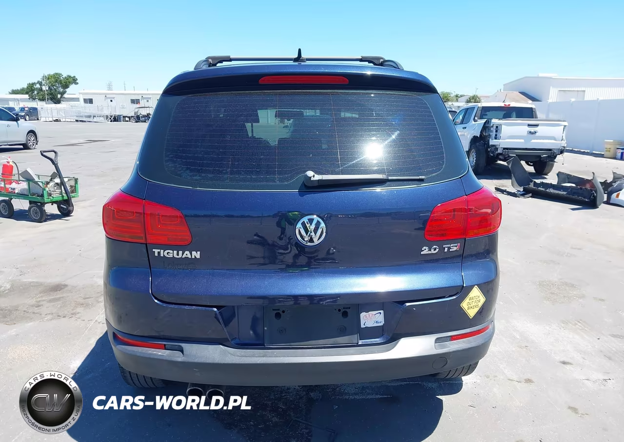 2015 Volkswagen Tiguan S VIN:WVGAV7AX3FW607344 - 17