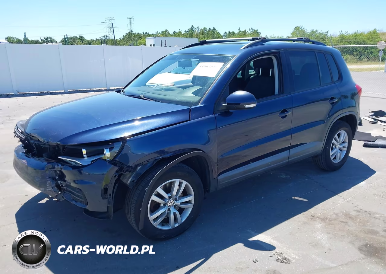 2015 Volkswagen Tiguan S VIN:WVGAV7AX3FW607344 - 2