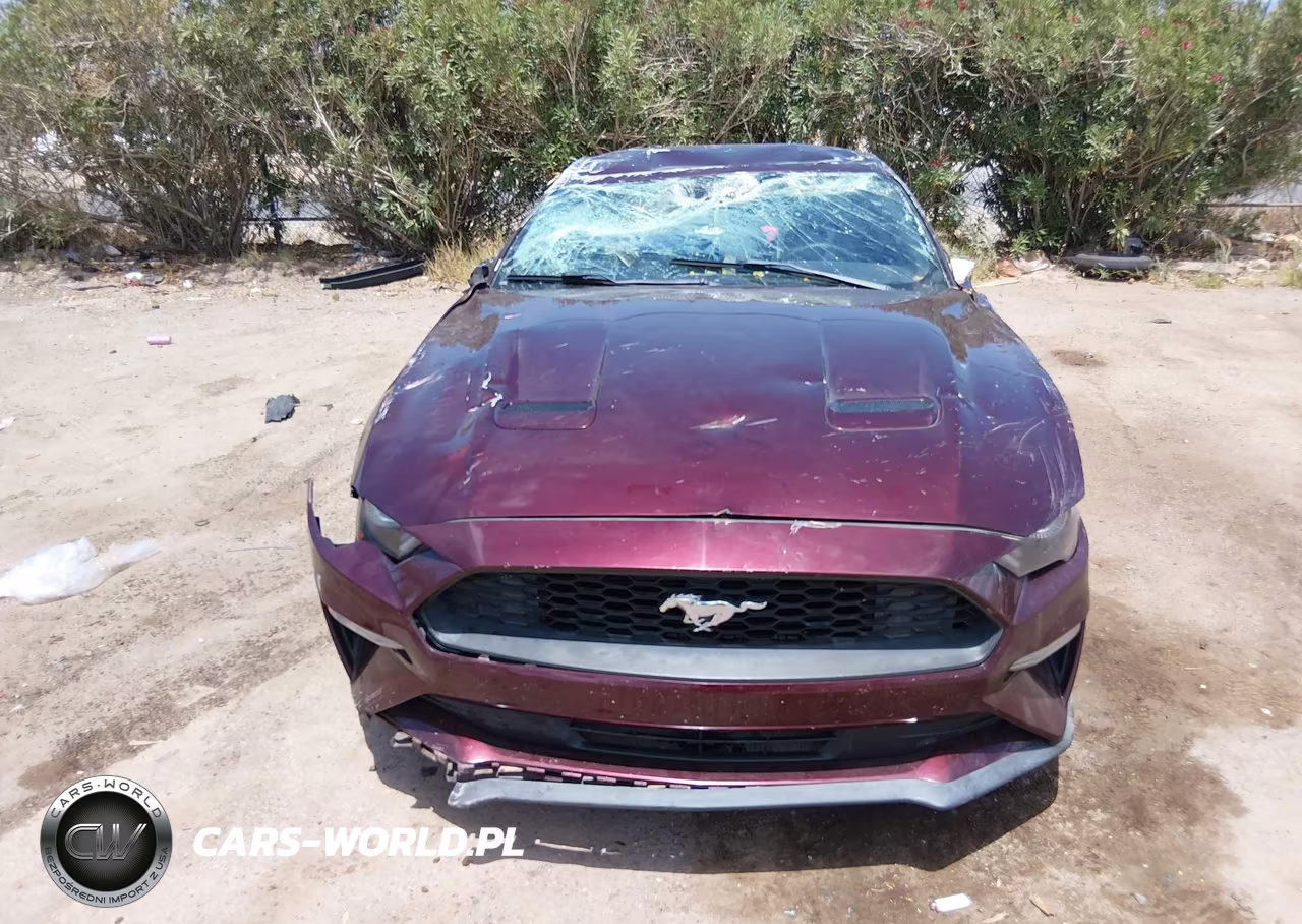 2018 Ford Mustang Ecoboost VIN:1FA6P8TH5J5172606 - 11