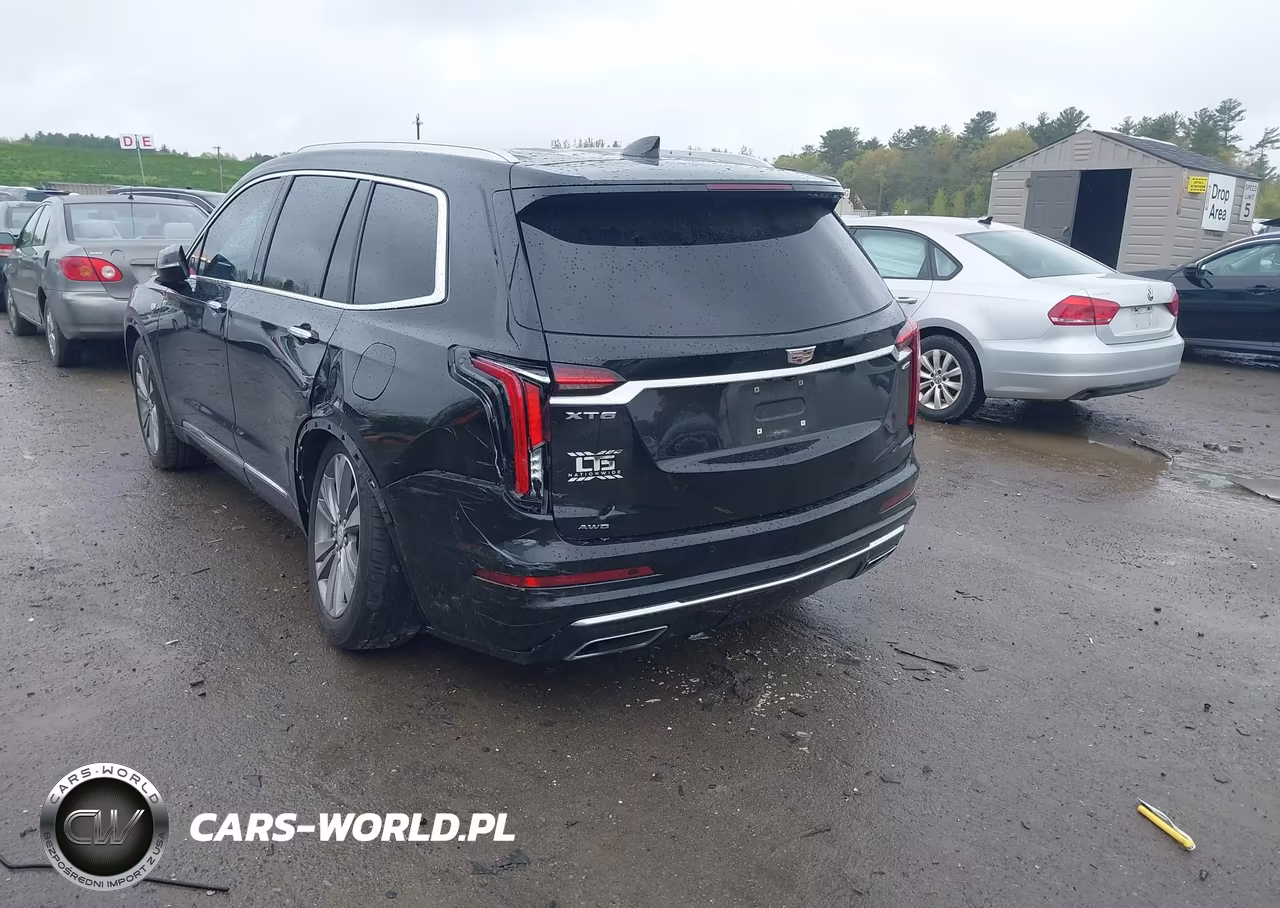 2022 Cadillac Xt6 Awd Premium Luxury VIN:1GYKPDRS0NZ143382 - 3