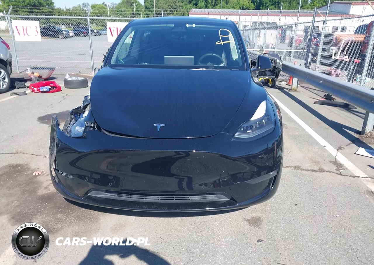 2021 Tesla Model Y Performance Dual Motor All-Wheel Drive VIN:5YJYGDEFXMF173356 - 12