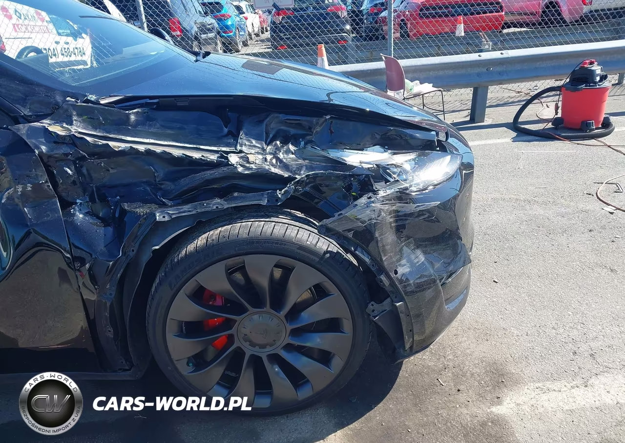 2021 Tesla Model Y Performance Dual Motor All-Wheel Drive VIN:5YJYGDEFXMF173356 - 6
