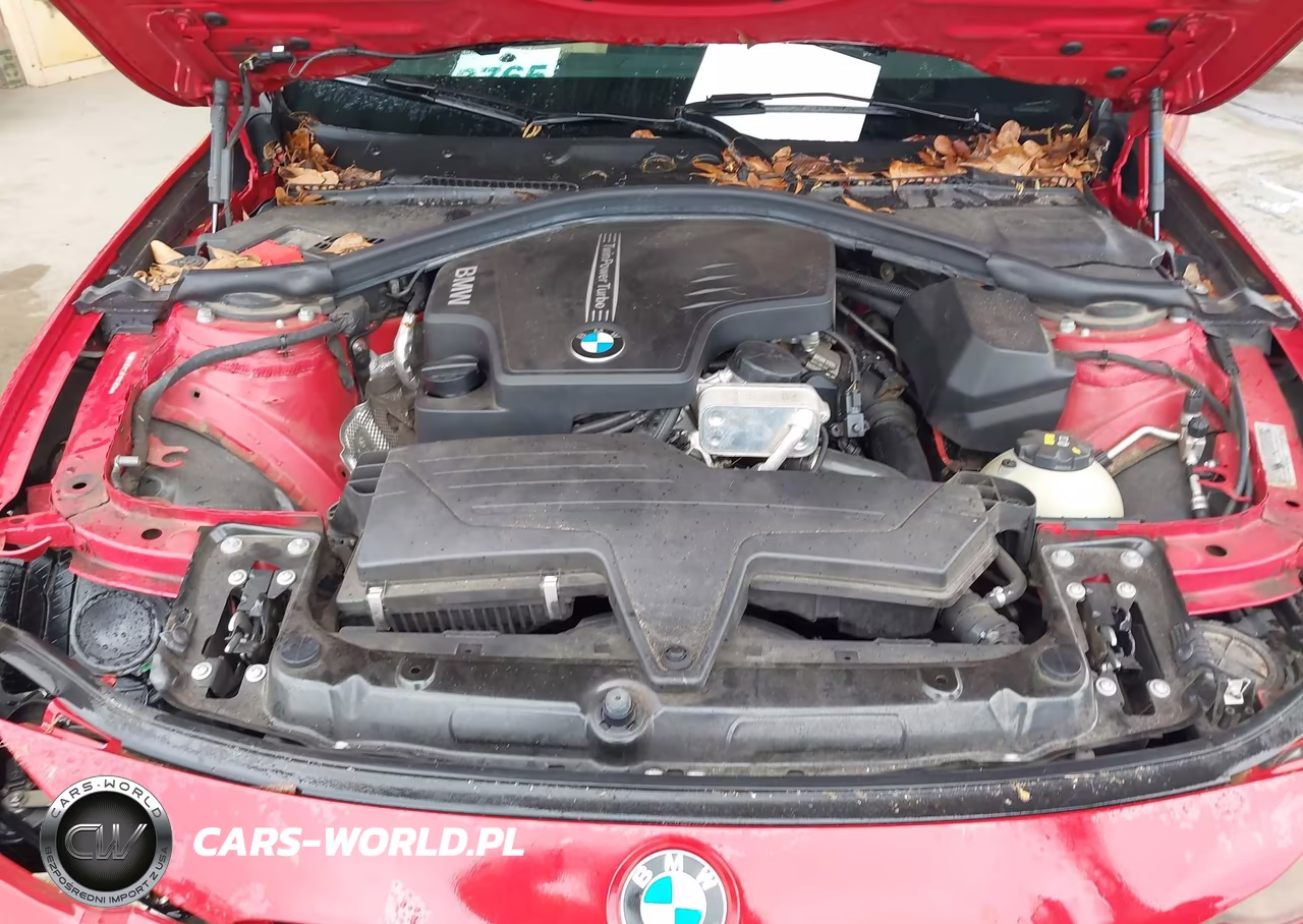 2015 BMW 320I VIN:WBA3B1C51FP681156 - 10