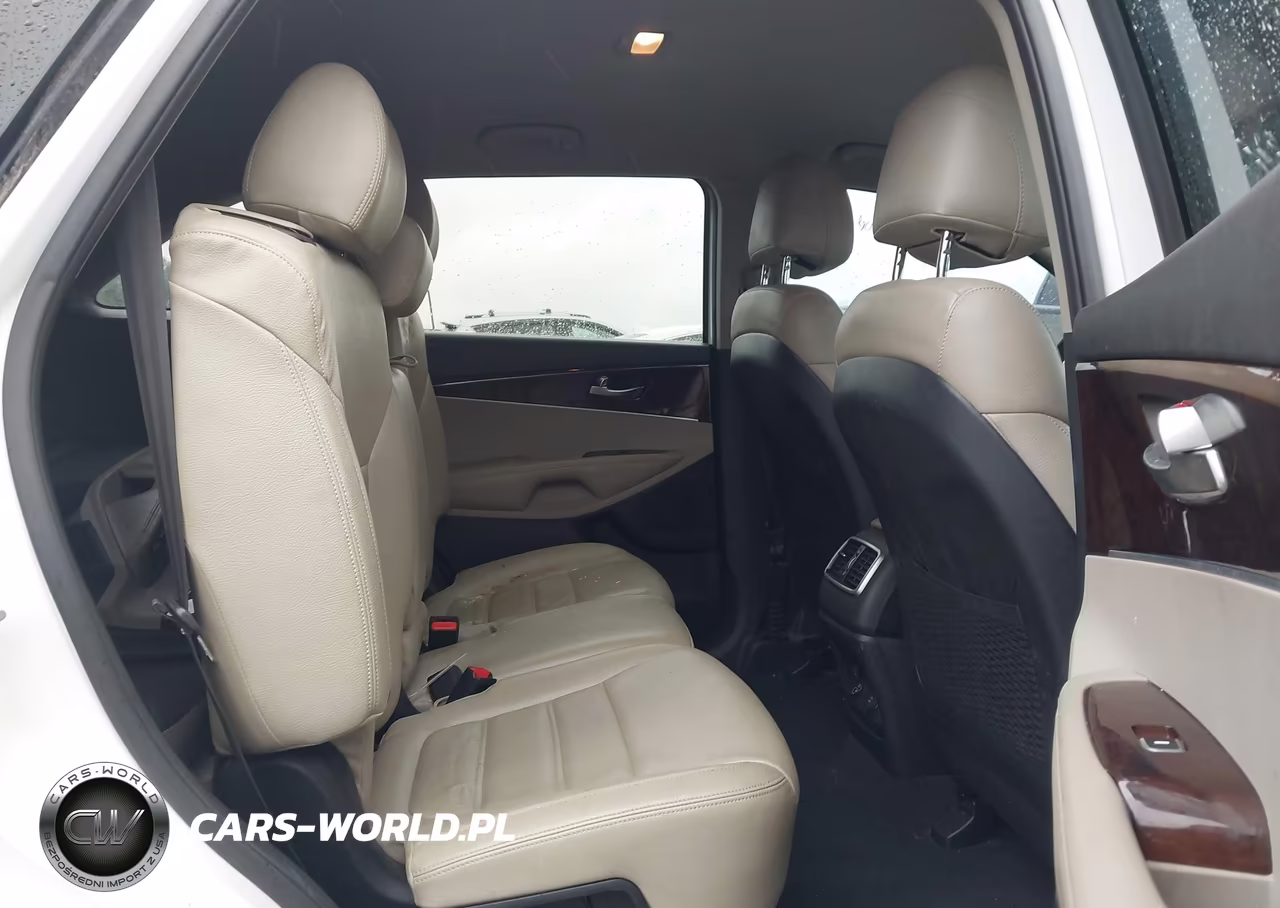 2017 Kia Sorento 2.4L Lx VIN:5XYPG4A3XHG188266 - 8