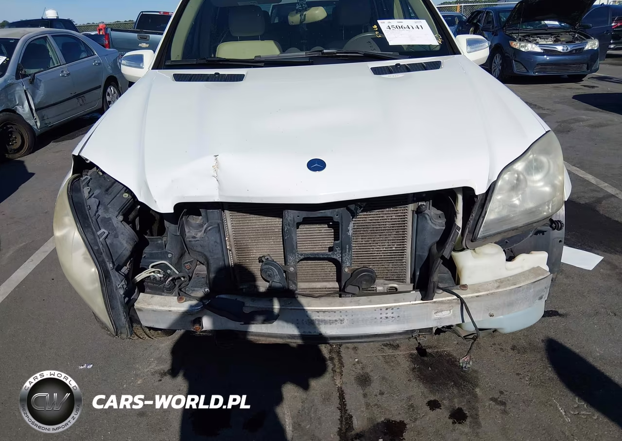 2010 Mercedes-Benz Gl 450 4Matic VIN:4JGBF7BE1AA542045 - 12
