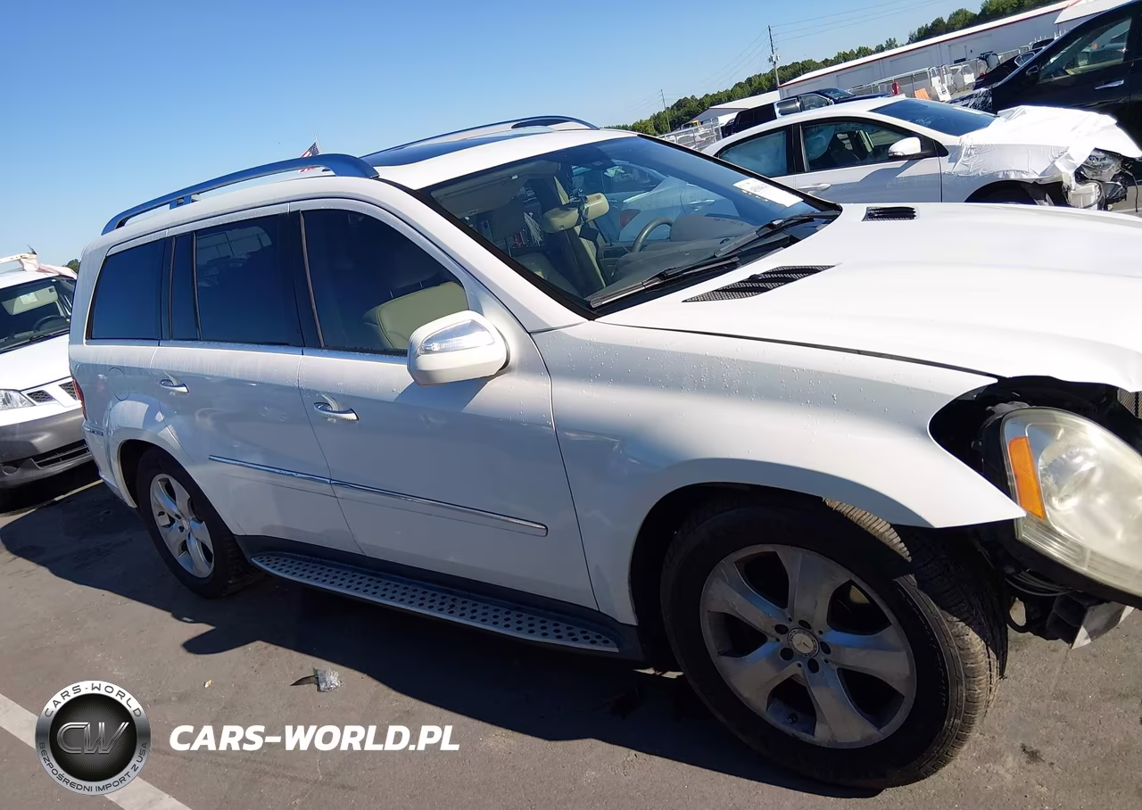2010 Mercedes-Benz Gl 450 4Matic VIN:4JGBF7BE1AA542045 - 13