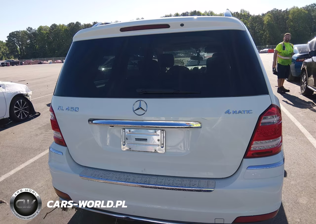 2010 Mercedes-Benz Gl 450 4Matic VIN:4JGBF7BE1AA542045 - 16