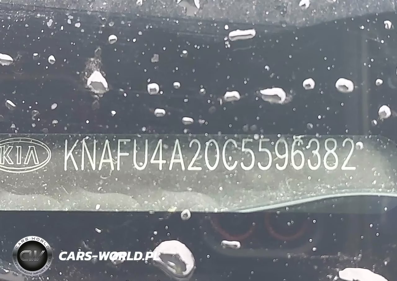 2012 Kia Forte Ex VIN:KNAFU4A20C5596382 - 9