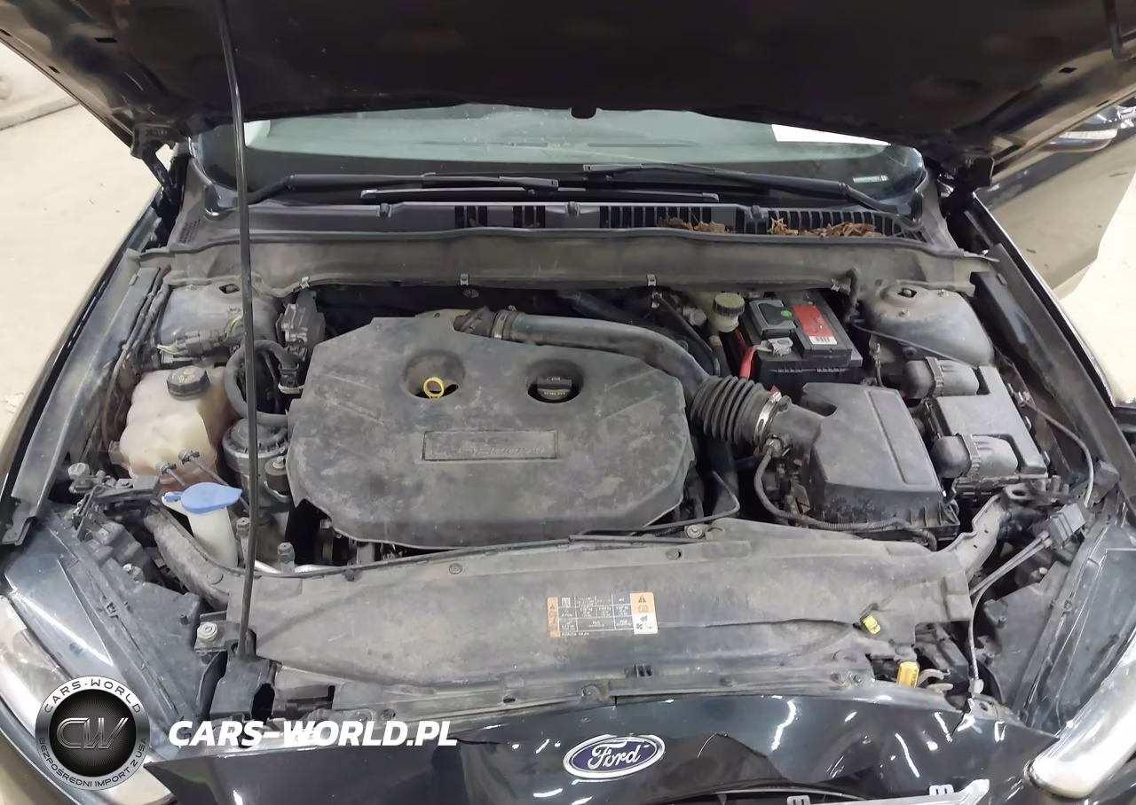 2014 Ford Fusion Titanium VIN:3FA6P0D97ER223972 - 10