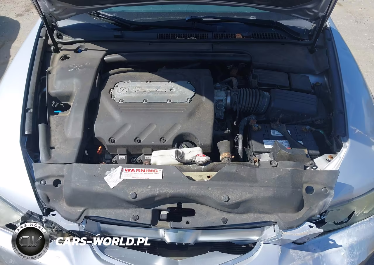 2004 Acura Tl VIN:19UUA662X4A053039 - 10