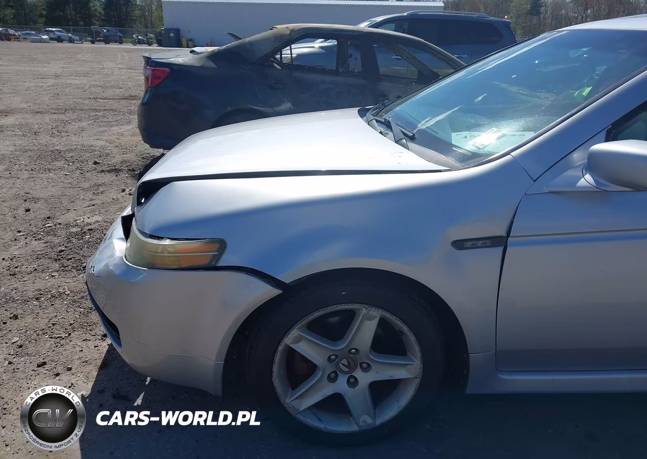2004 Acura Tl VIN:19UUA662X4A053039 - 12