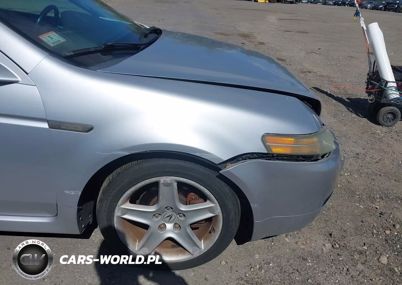 2004 Acura Tl VIN:19UUA662X4A053039 - 13